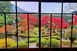 Japan_Autumn_2025 (9/47)